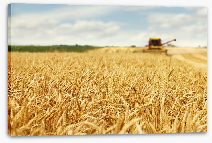 Agriculture