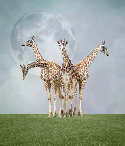 Kiss the moon