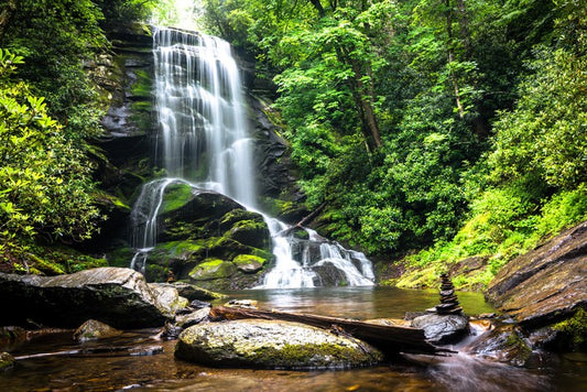 Mountain forest falls
