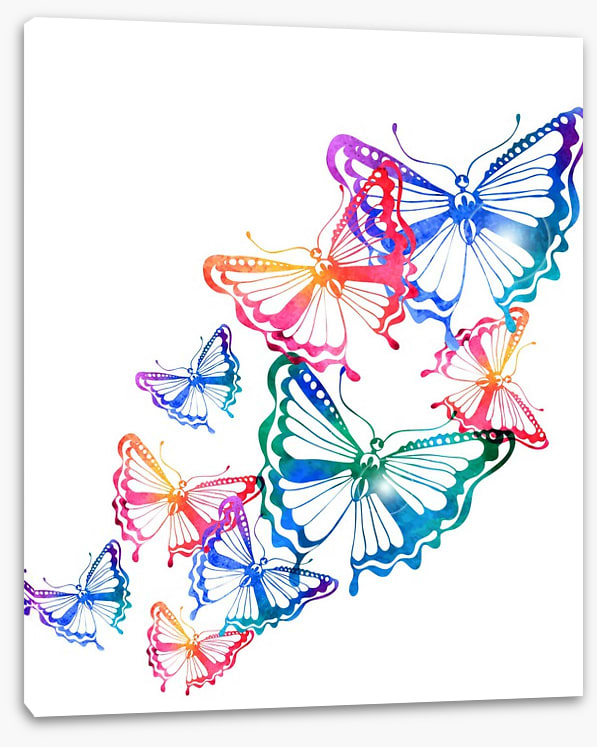 Butterflies