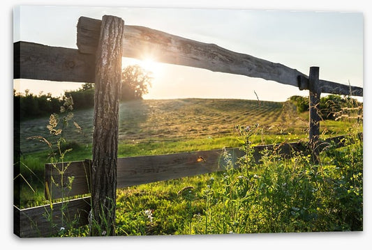Through the fence