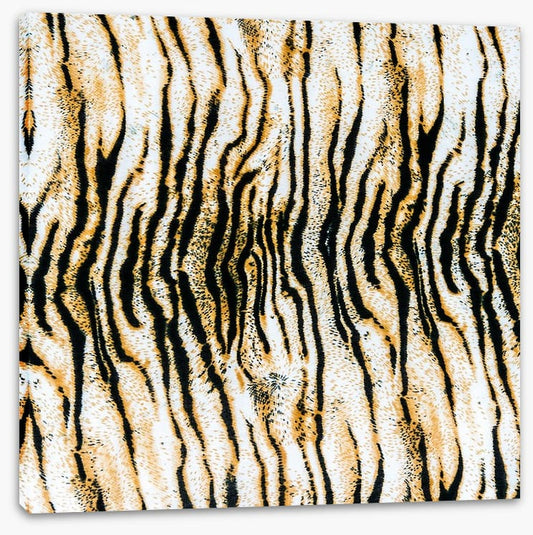 Animal Print