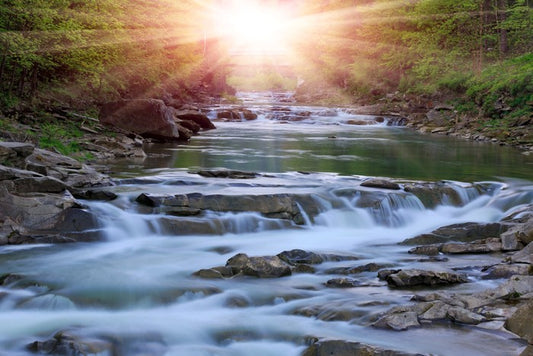 River rays