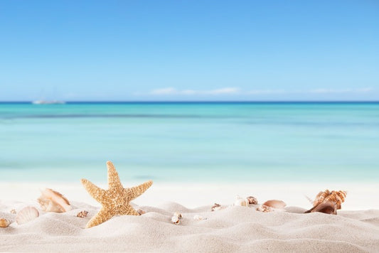 Summer beach with shells
