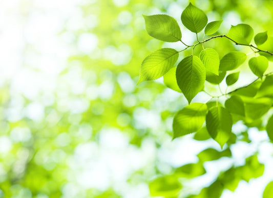 Viridian sunlight