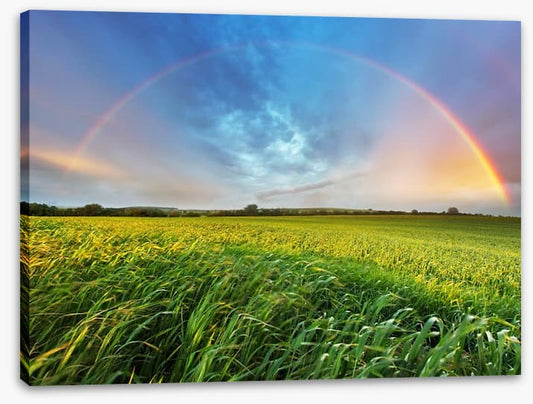 Rainbows