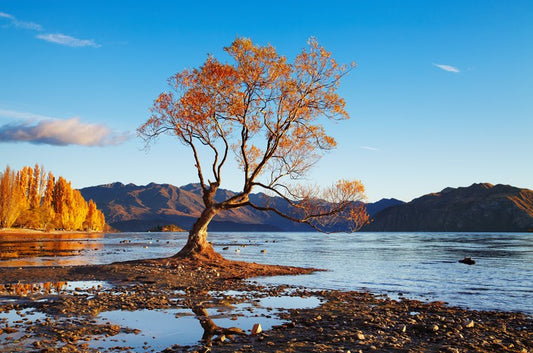 Autumn in Wanaka