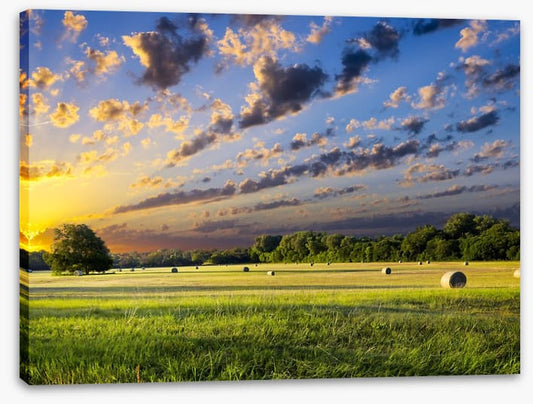 Hay bales at sunrise