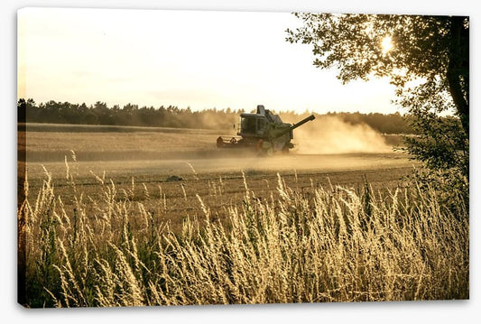 Agriculture