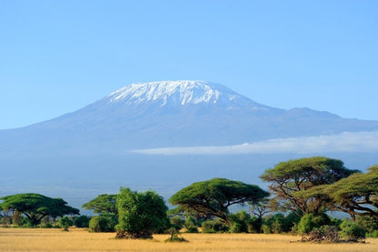 Kilimanjaro snowtop