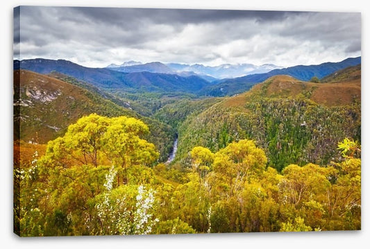 Tasmanian wilderness
