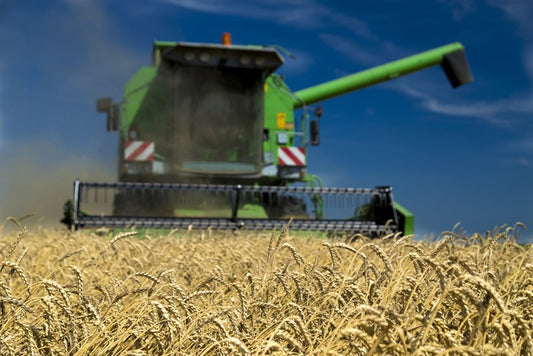 Agriculture