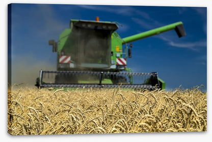 Agriculture