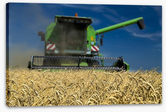 Agriculture