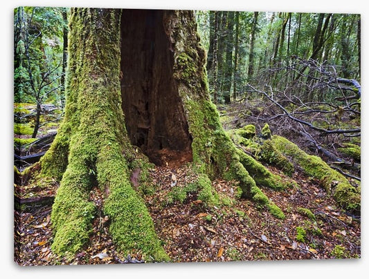 Tasmania