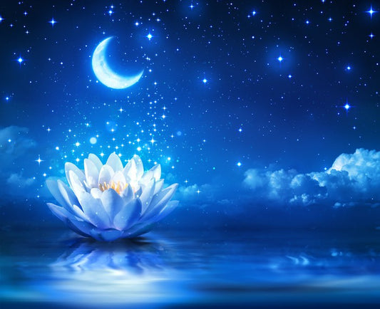Waterlily moon dust