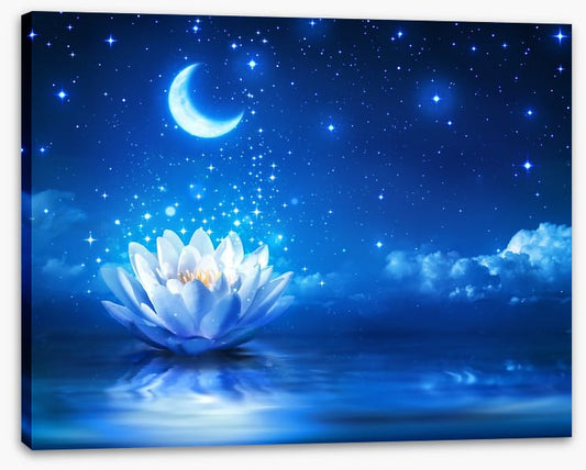 Waterlily moon dust