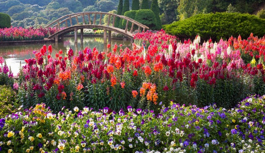Flower garden bridge