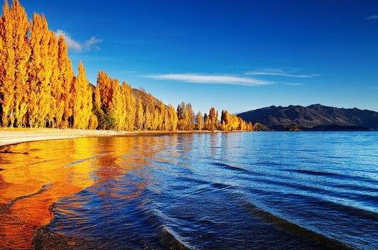 Golden shores