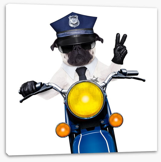 Police dog