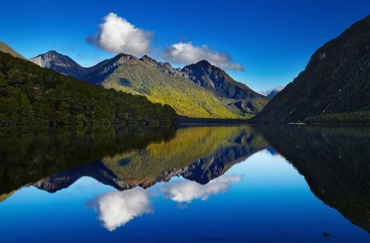 Lake Gunn reflections