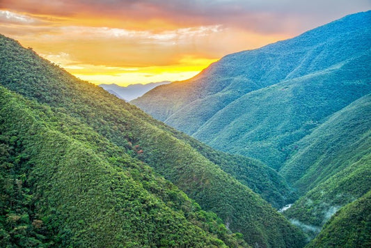 South America