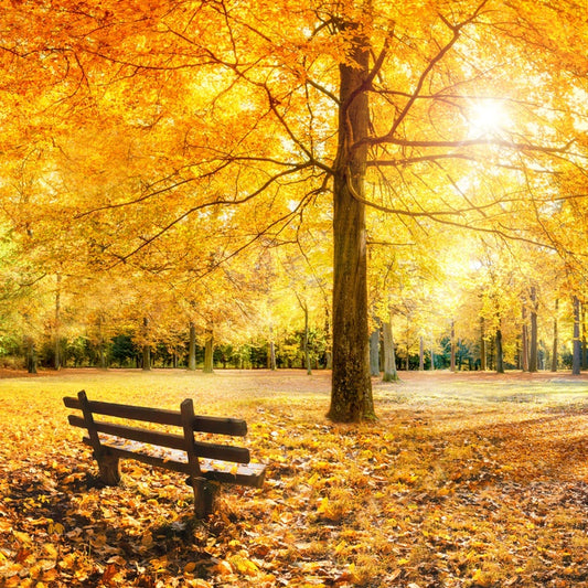 A golden moment