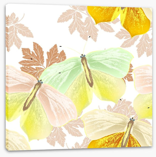 Butterflies