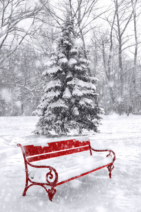 A seat in the snow