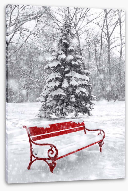 A seat in the snow