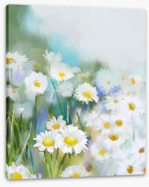 Daisy days