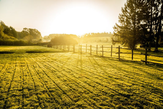Agriculture