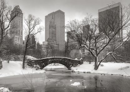 Central Park glacé