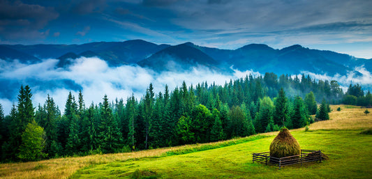 Mountains