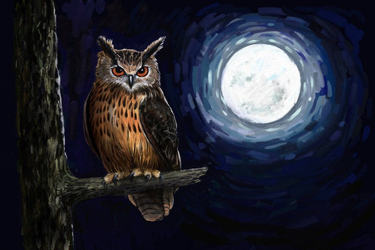 Moonlight owl