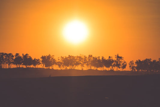 Africa
