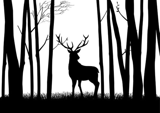 Deer in the woods