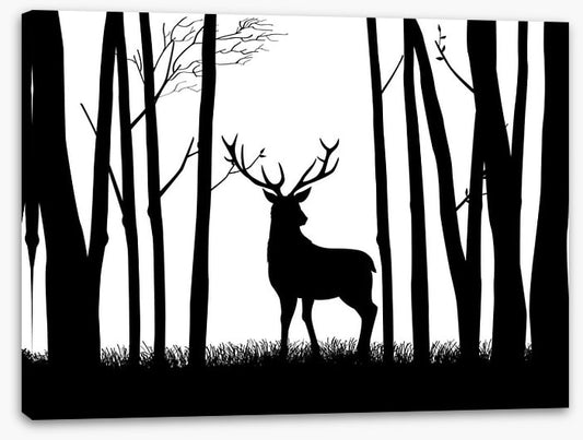 Deer in the woods