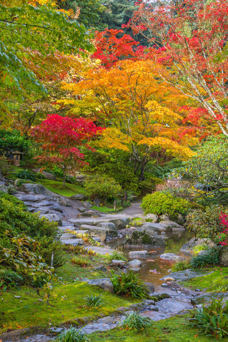 Streaming into fall