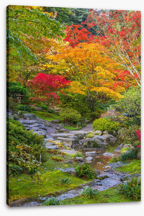 Streaming into fall