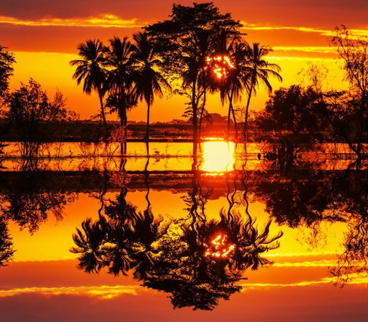 Blazing sunset reflections