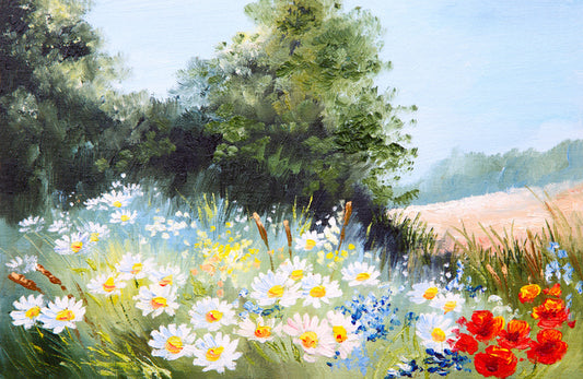 Daisy season