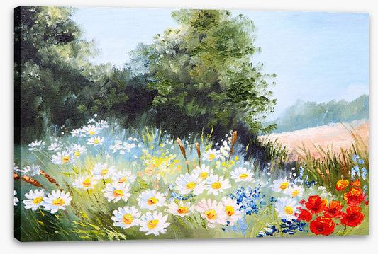 Daisy season