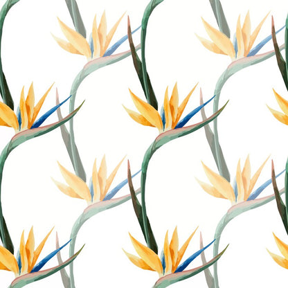 Birds of paradise