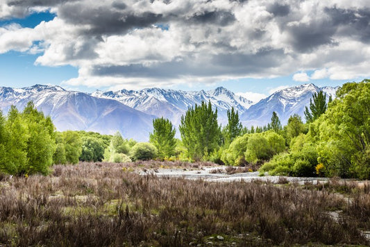 New Zealand