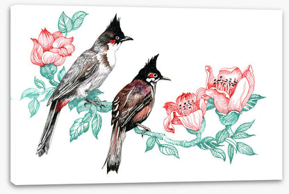 Birds