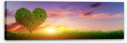 Love heart tree panorama