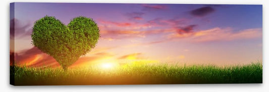 Love heart tree panorama