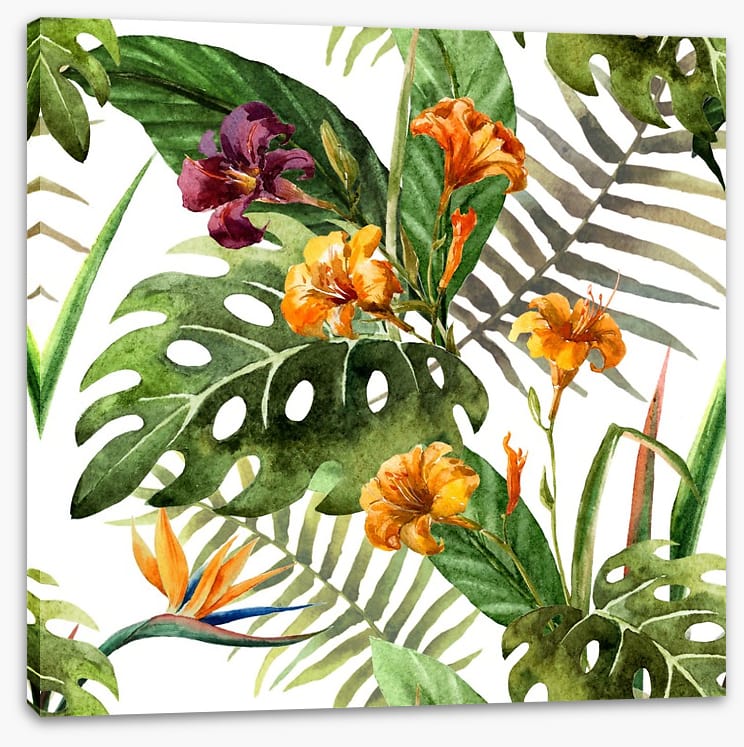Tropical orchid leaves