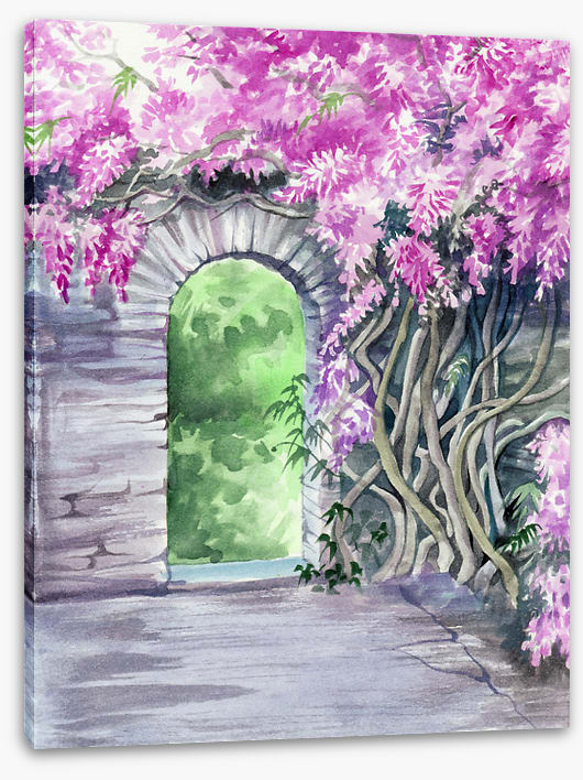 The wisteria arch
